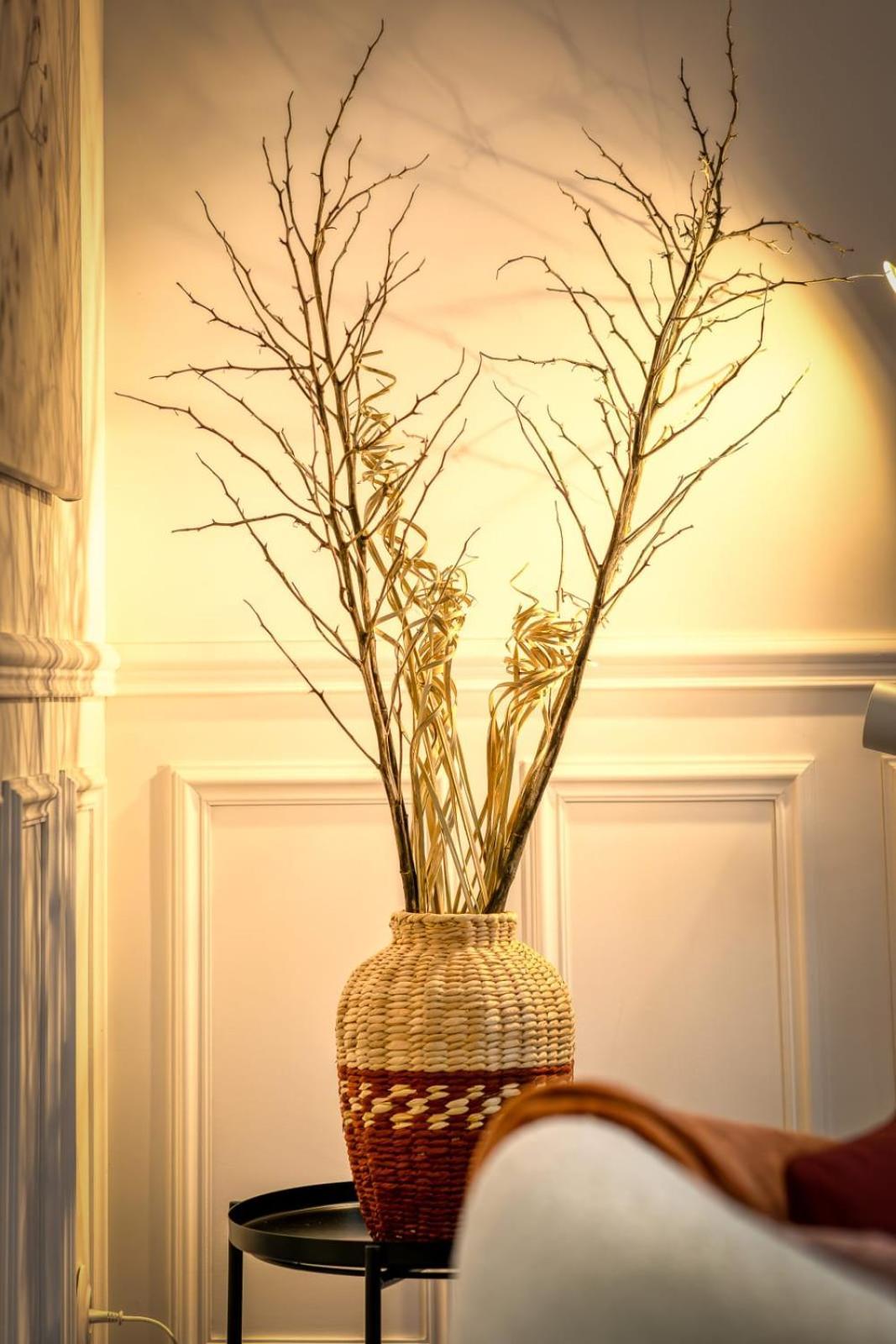 شقة Rose Ecrin De Charme Avec Parking Terrasse Privee Et Jardin Partage Grand-Couronne المظهر الخارجي الصورة